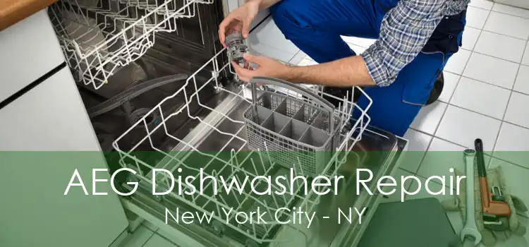 AEG Dishwasher Repair New York City - NY