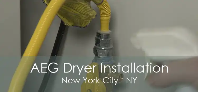 AEG Dryer Installation New York City - NY