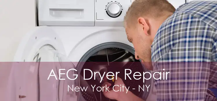 AEG Dryer Repair New York City - NY