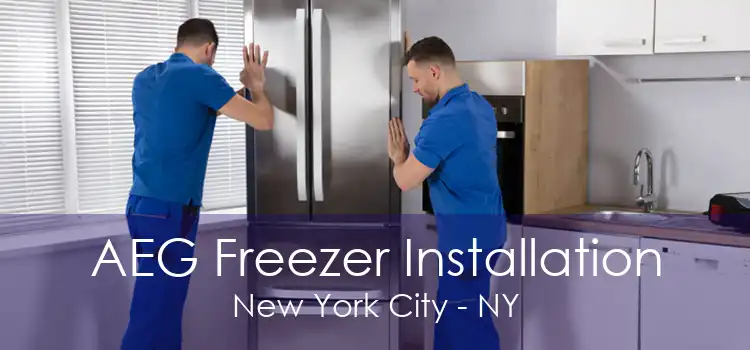 AEG Freezer Installation New York City - NY