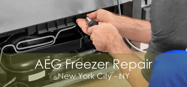 AEG Freezer Repair New York City - NY