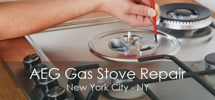 AEG Gas Stove Repair New York City - NY