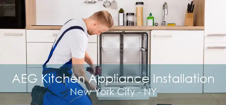 AEG Kitchen Appliance Installation New York City - NY