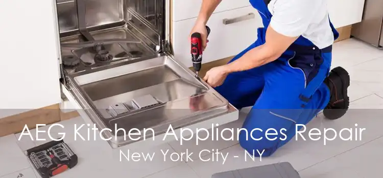 AEG Kitchen Appliances Repair New York City - NY