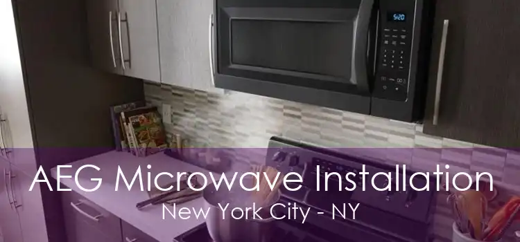 AEG Microwave Installation New York City - NY