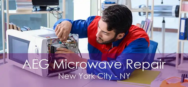 AEG Microwave Repair New York City - NY