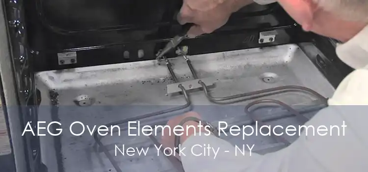 AEG Oven Elements Replacement New York City - NY