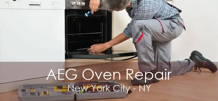 AEG Oven Repair New York City - NY