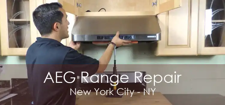 AEG Range Repair New York City - NY