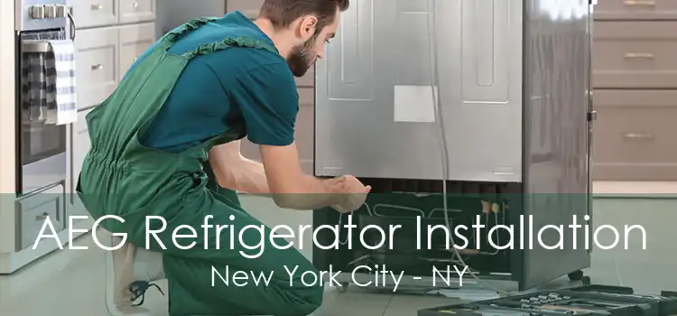 AEG Refrigerator Installation New York City - NY