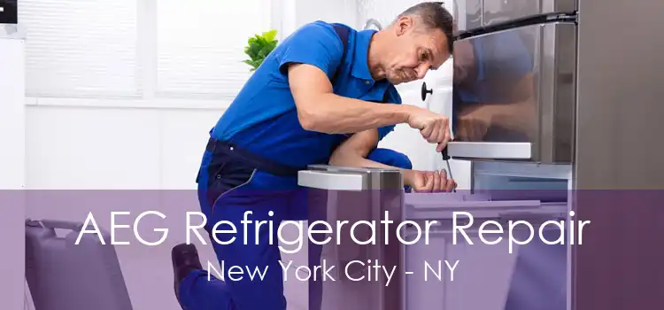 AEG Refrigerator Repair New York City - NY