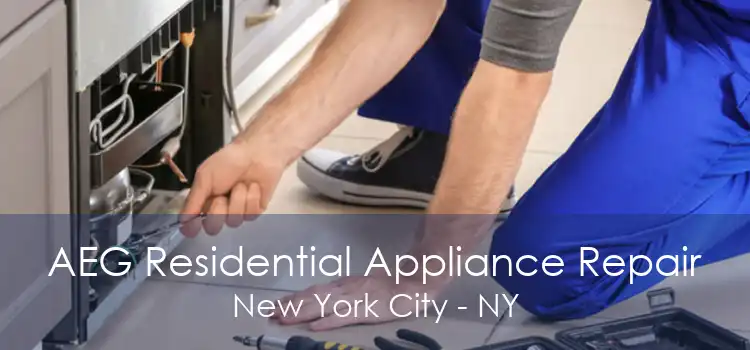 AEG Residential Appliance Repair New York City - NY