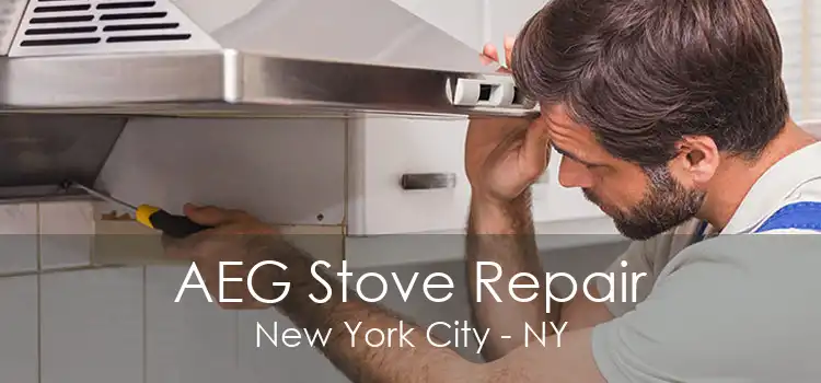 AEG Stove Repair New York City - NY