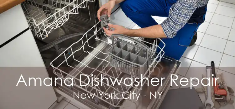 Amana Dishwasher Repair New York City - NY