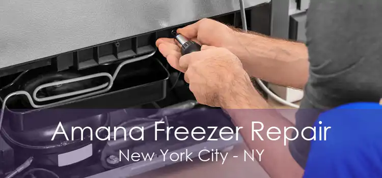 Amana Freezer Repair New York City - NY