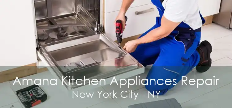 Amana Kitchen Appliances Repair New York City - NY