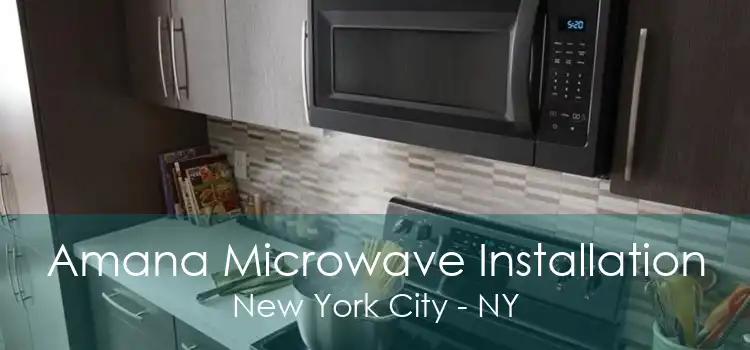 Amana Microwave Installation New York City - NY