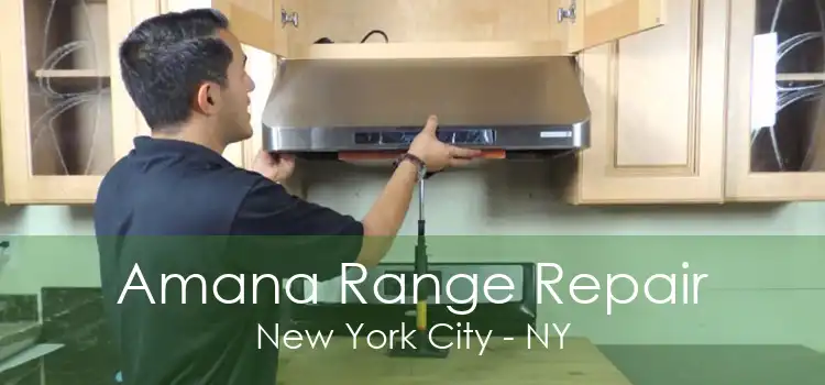 Amana Range Repair New York City - NY