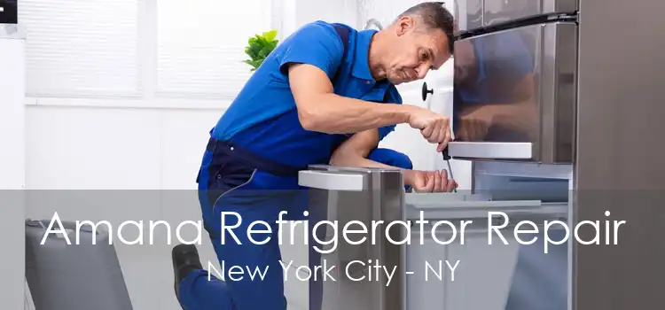 Amana Refrigerator Repair New York City - NY