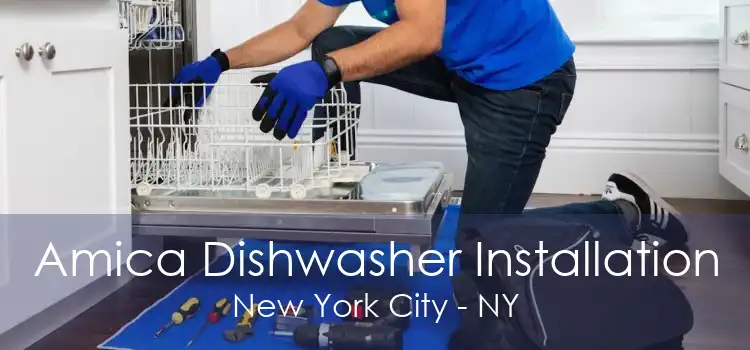 Amica Dishwasher Installation New York City - NY