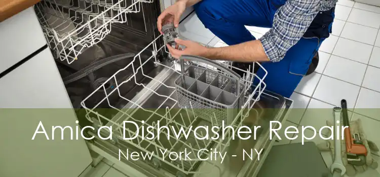 Amica Dishwasher Repair New York City - NY