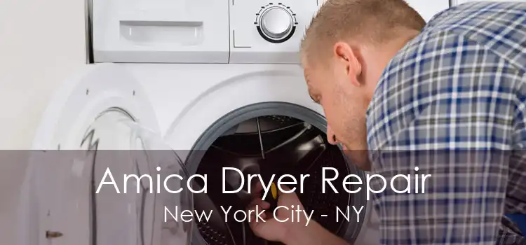 Amica Dryer Repair New York City - NY