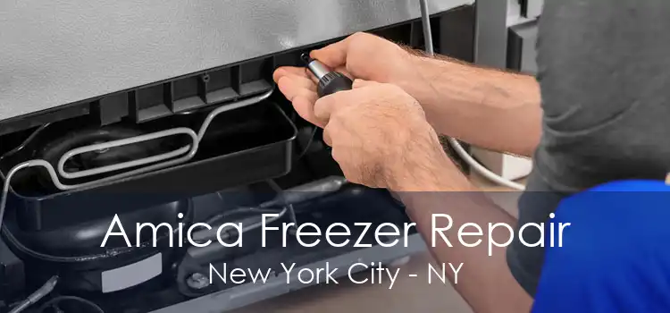 Amica Freezer Repair New York City - NY