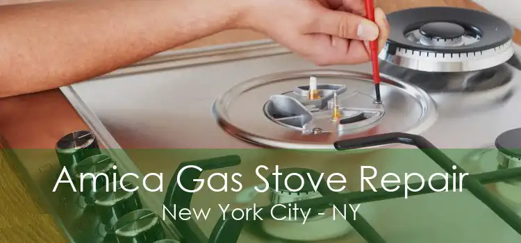 Amica Gas Stove Repair New York City - NY