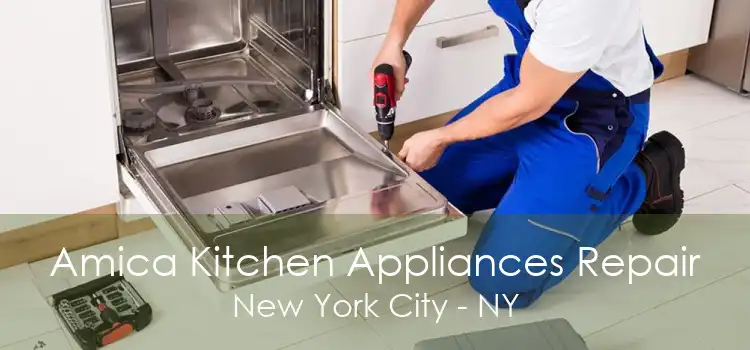 Amica Kitchen Appliances Repair New York City - NY