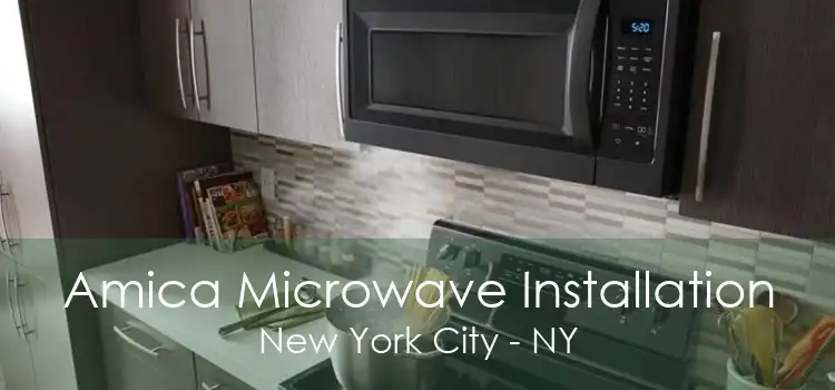 Amica Microwave Installation New York City - NY