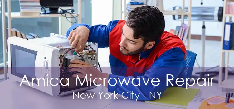 Amica Microwave Repair New York City - NY