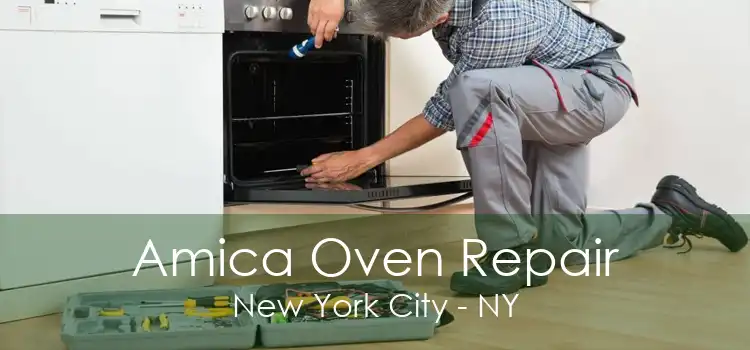 Amica Oven Repair New York City - NY