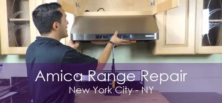 Amica Range Repair New York City - NY