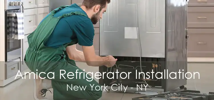 Amica Refrigerator Installation New York City - NY