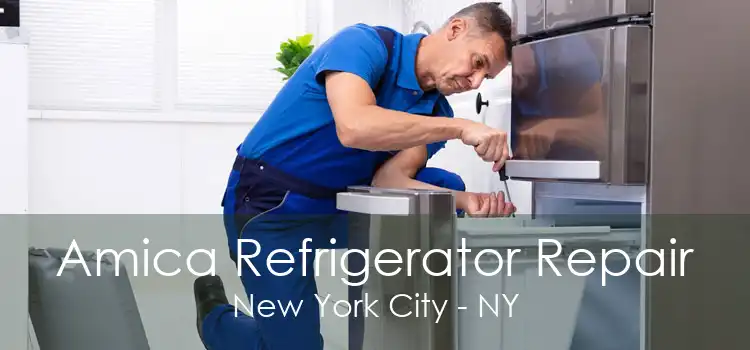 Amica Refrigerator Repair New York City - NY