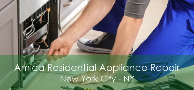 Amica Residential Appliance Repair New York City - NY