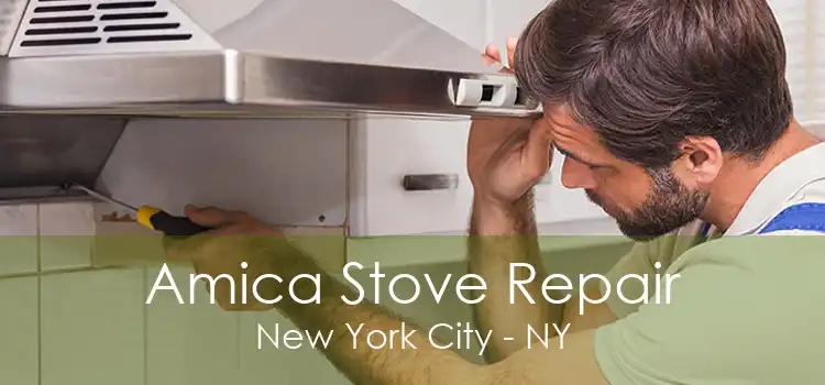 Amica Stove Repair New York City - NY