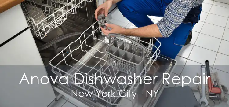 Anova Dishwasher Repair New York City - NY