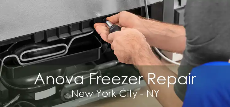 Anova Freezer Repair New York City - NY