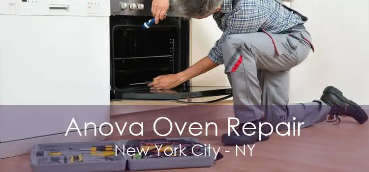 Anova Oven Repair New York City - NY