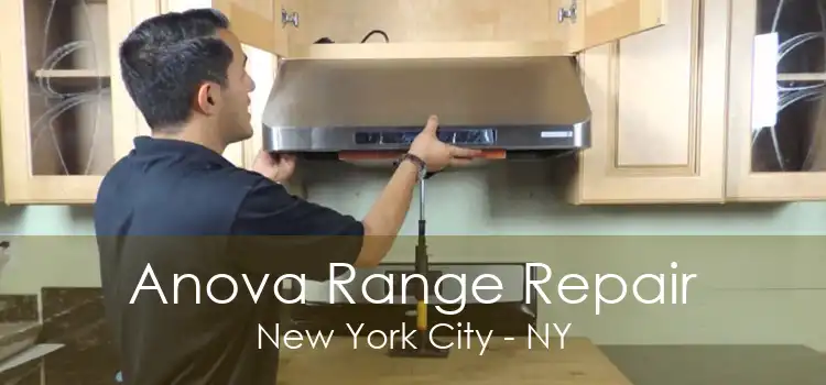 Anova Range Repair New York City - NY