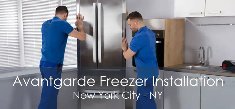 Avantgarde Freezer Installation New York City - NY