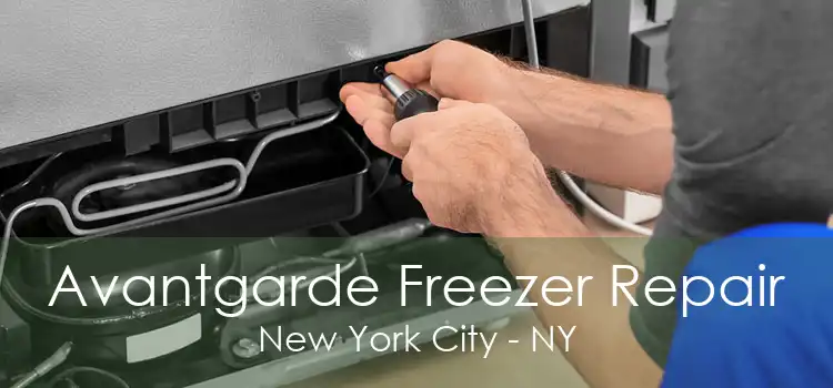 Avantgarde Freezer Repair New York City - NY