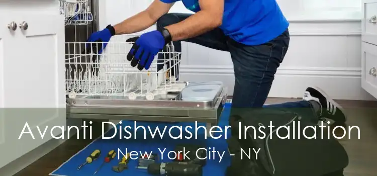 Avanti Dishwasher Installation New York City - NY