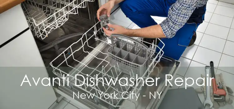 Avanti Dishwasher Repair New York City - NY