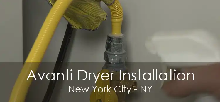 Avanti Dryer Installation New York City - NY