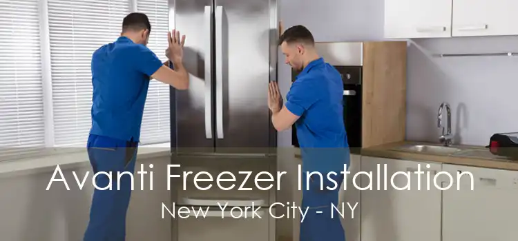 Avanti Freezer Installation New York City - NY