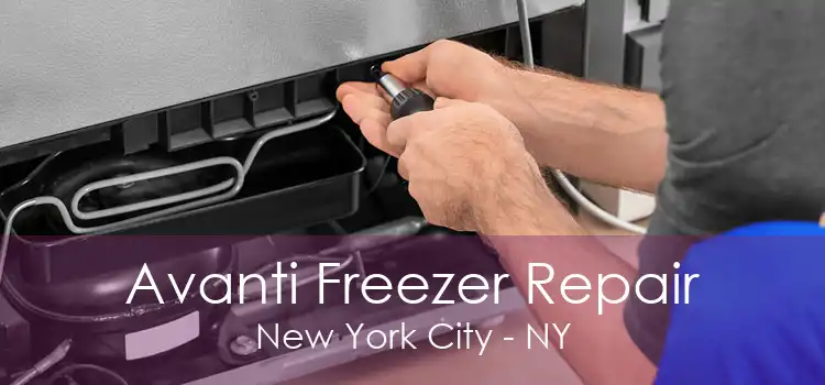 Avanti Freezer Repair New York City - NY