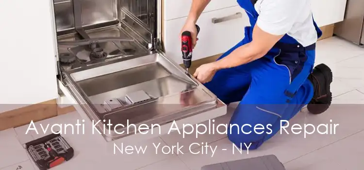 Avanti Kitchen Appliances Repair New York City - NY