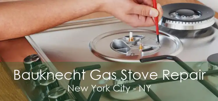 Bauknecht Gas Stove Repair New York City - NY